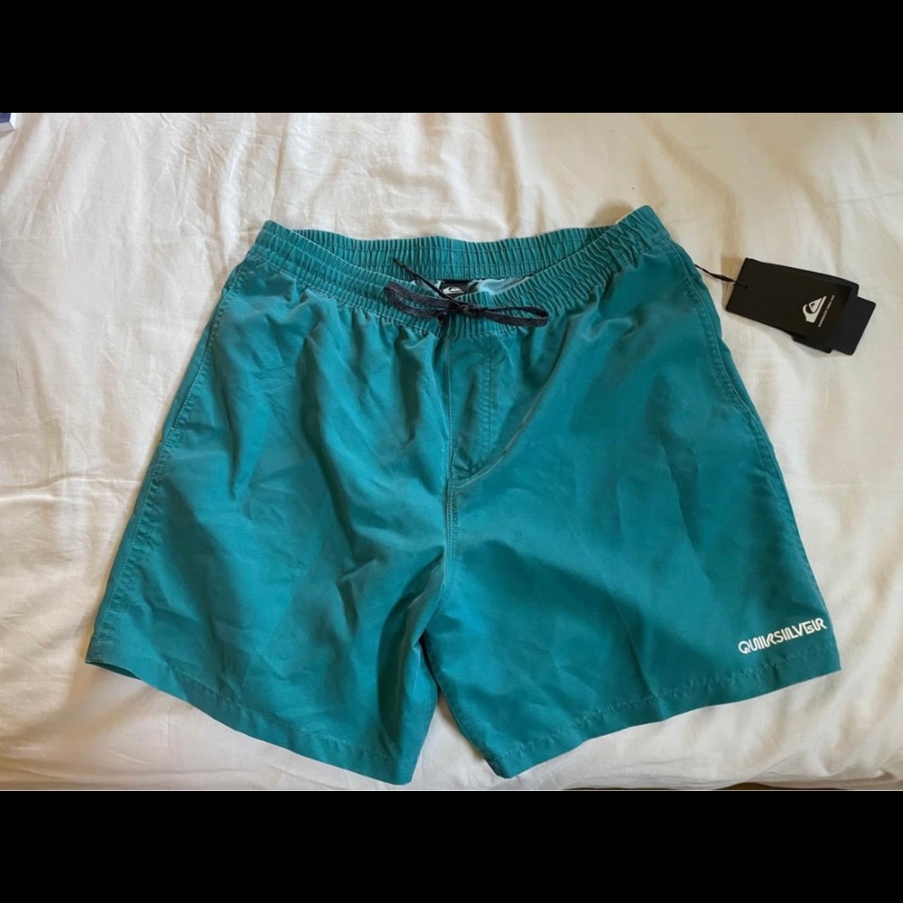 Quicksilver Surfwash Volley swim trunks